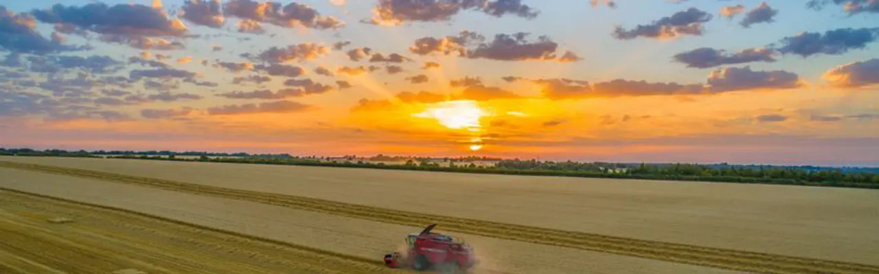 Rural – land of opportunity and resilience: 1604491896 Crawford M 808X455