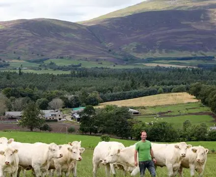 Famous Aberdeenshire Farming Enterprise Comes to the Market: Blelack Farm 808X455