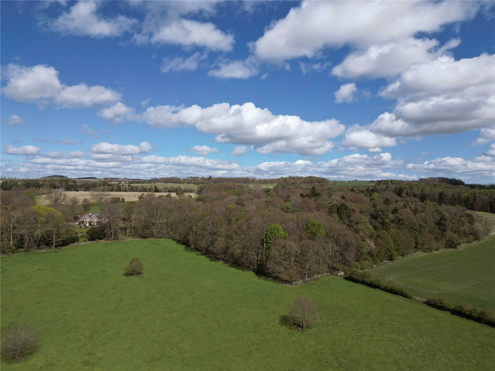 North East View