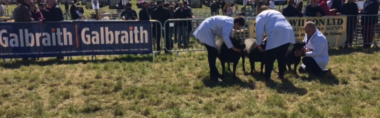 Ayr Show 2022: Ayr Show