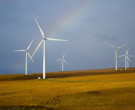 How high can we go?: Onshore Wind Farm | Galbraith