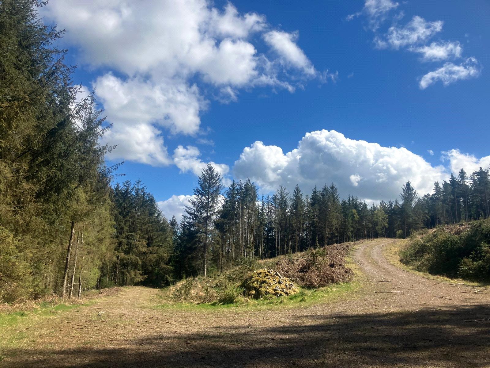 Low Baronwood Farm - Lot 3, Armathwaite, Carlisle, Cumbria, CA4 9TW | Galbraith
