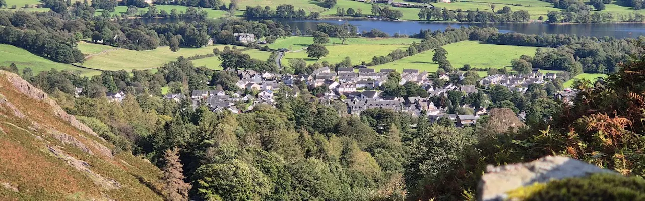 The state of the natural capital market: 20240915 155153 (1)