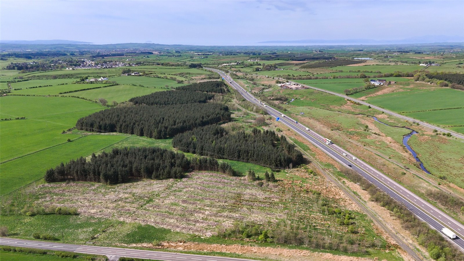 Laighmuir Woodland