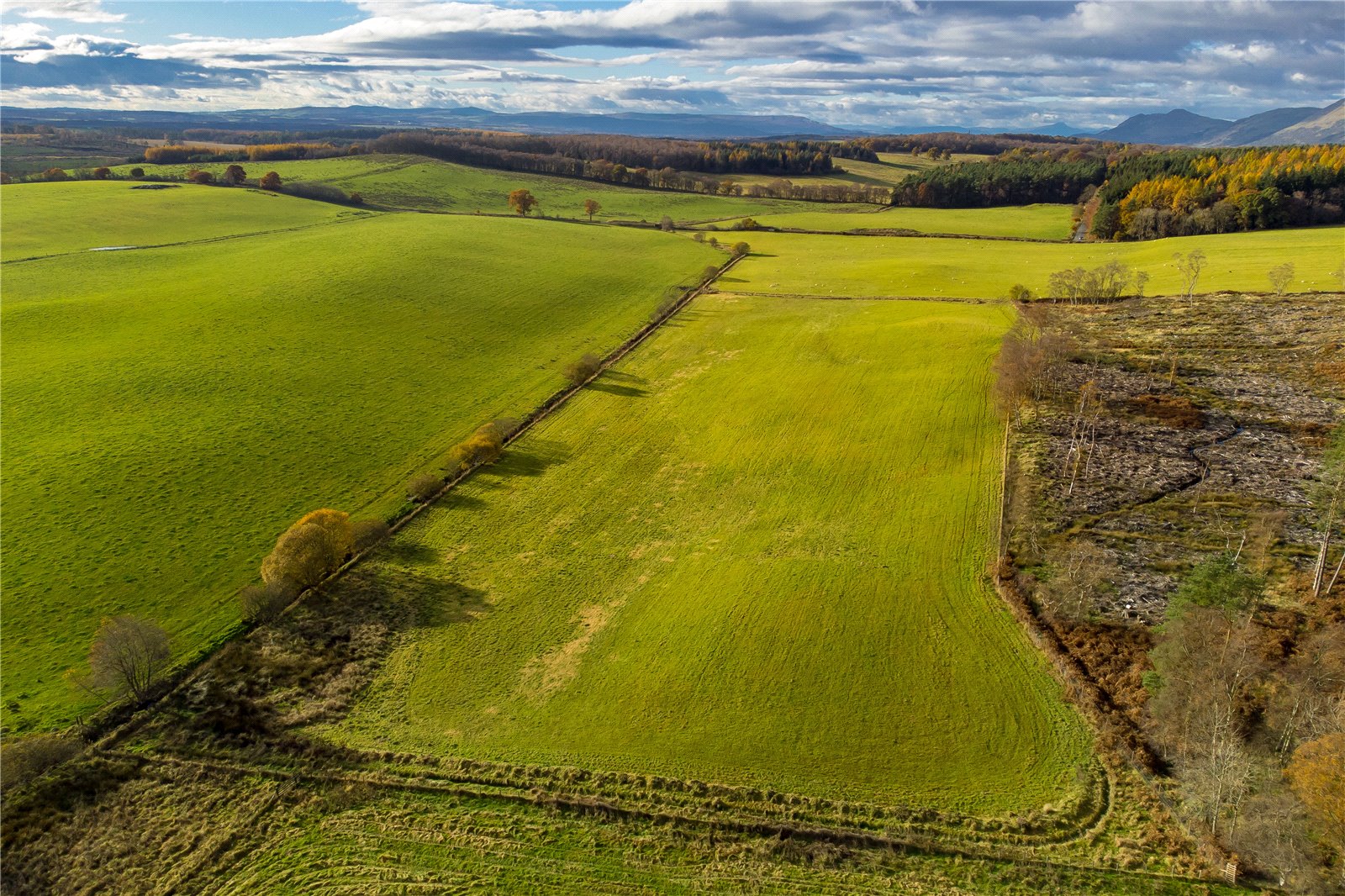 Hay Fields