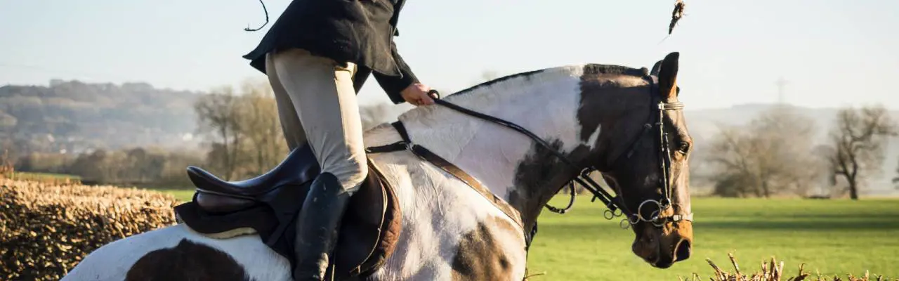 Belsay Horse Trials: Phil Hodkinson Horsejumping