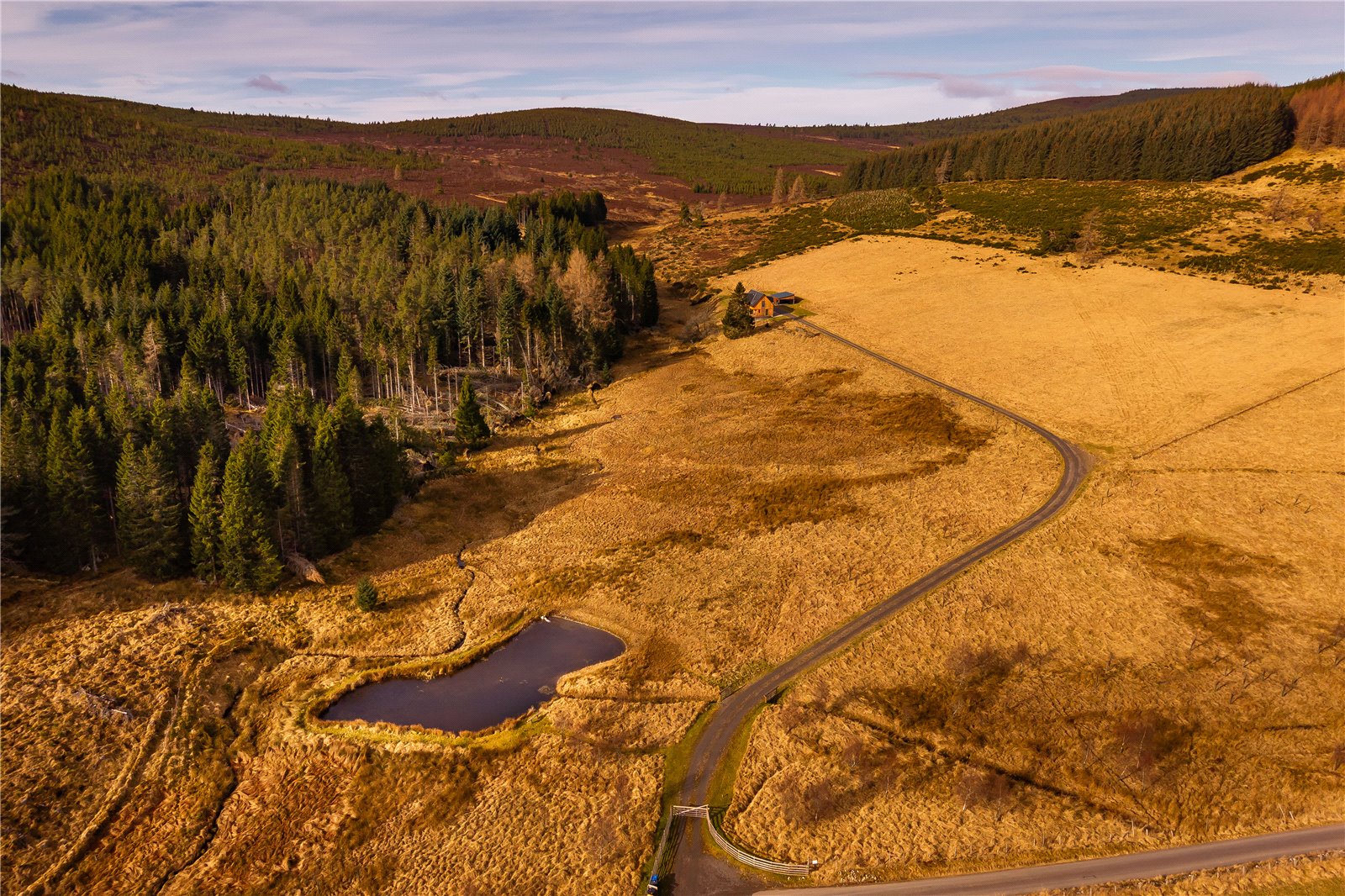 Drone Image
