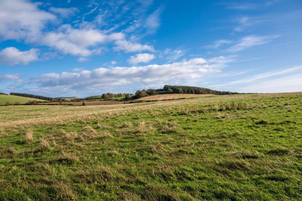 Farmland