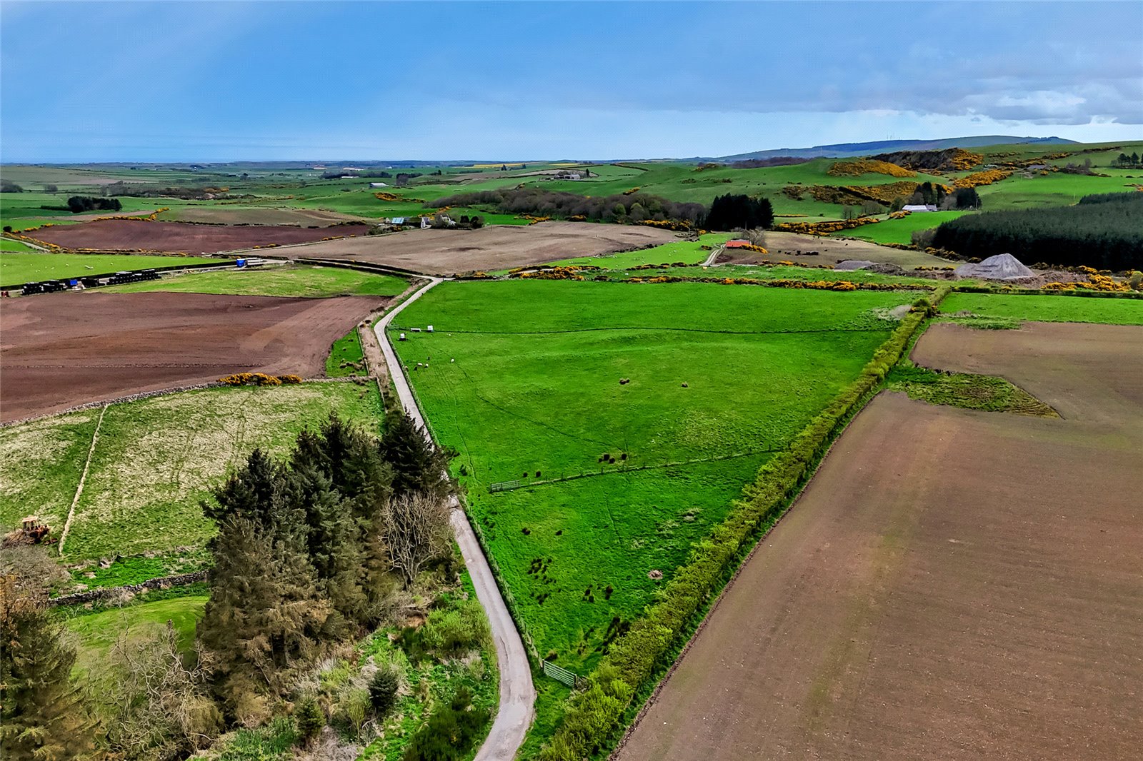 Drone Image