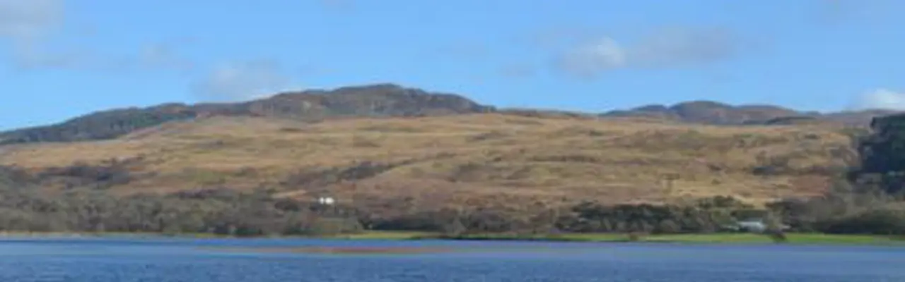 Attractive Property With Substantial Hill Ground For Sale On The Cowal Peninsula: Loch Riddon House 808X455