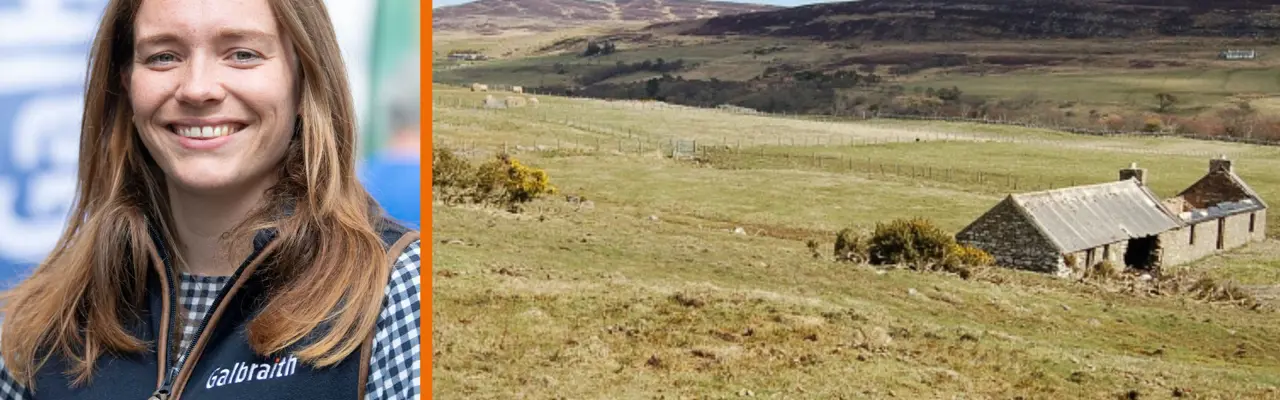 Natural capital update: Biodiversity net gain and why it matters: Borders (5)