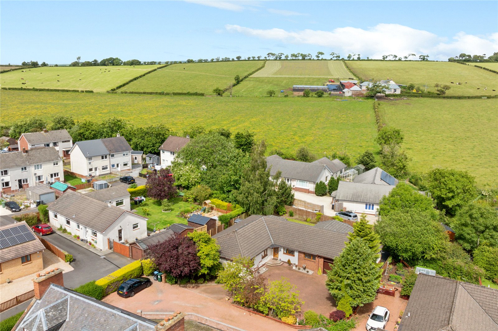 Aerial photograph