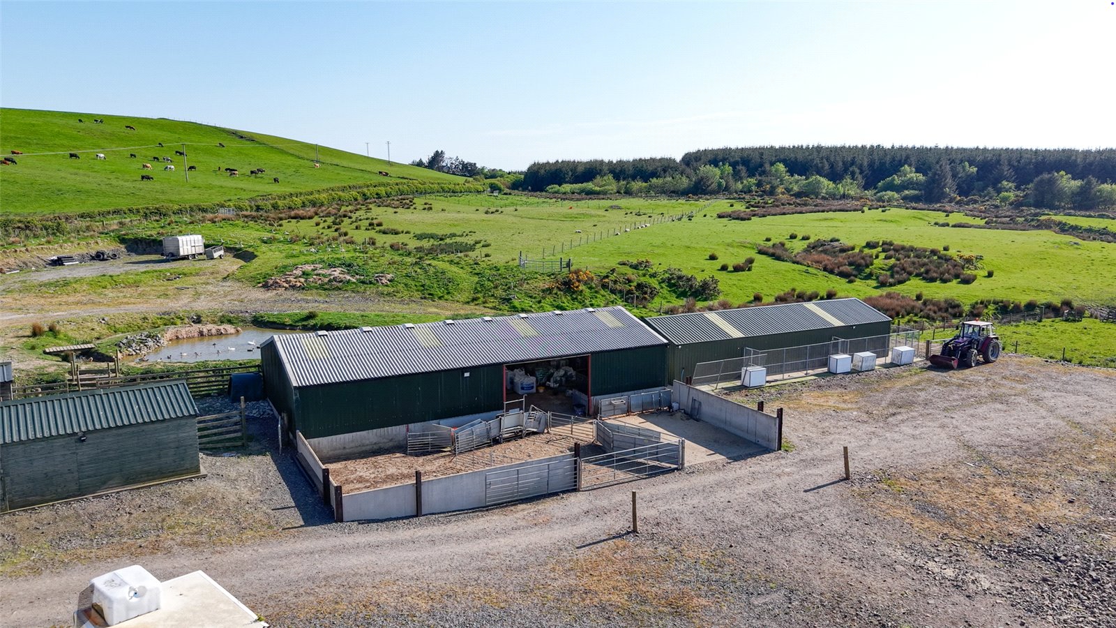 Steading