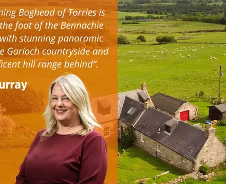 Walker's paradise at Bennachie Hill: Borders (28) (1)