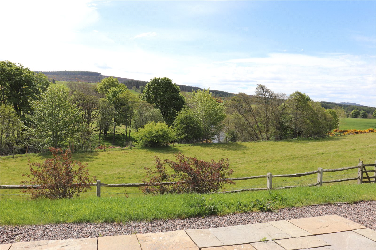 View From Patio