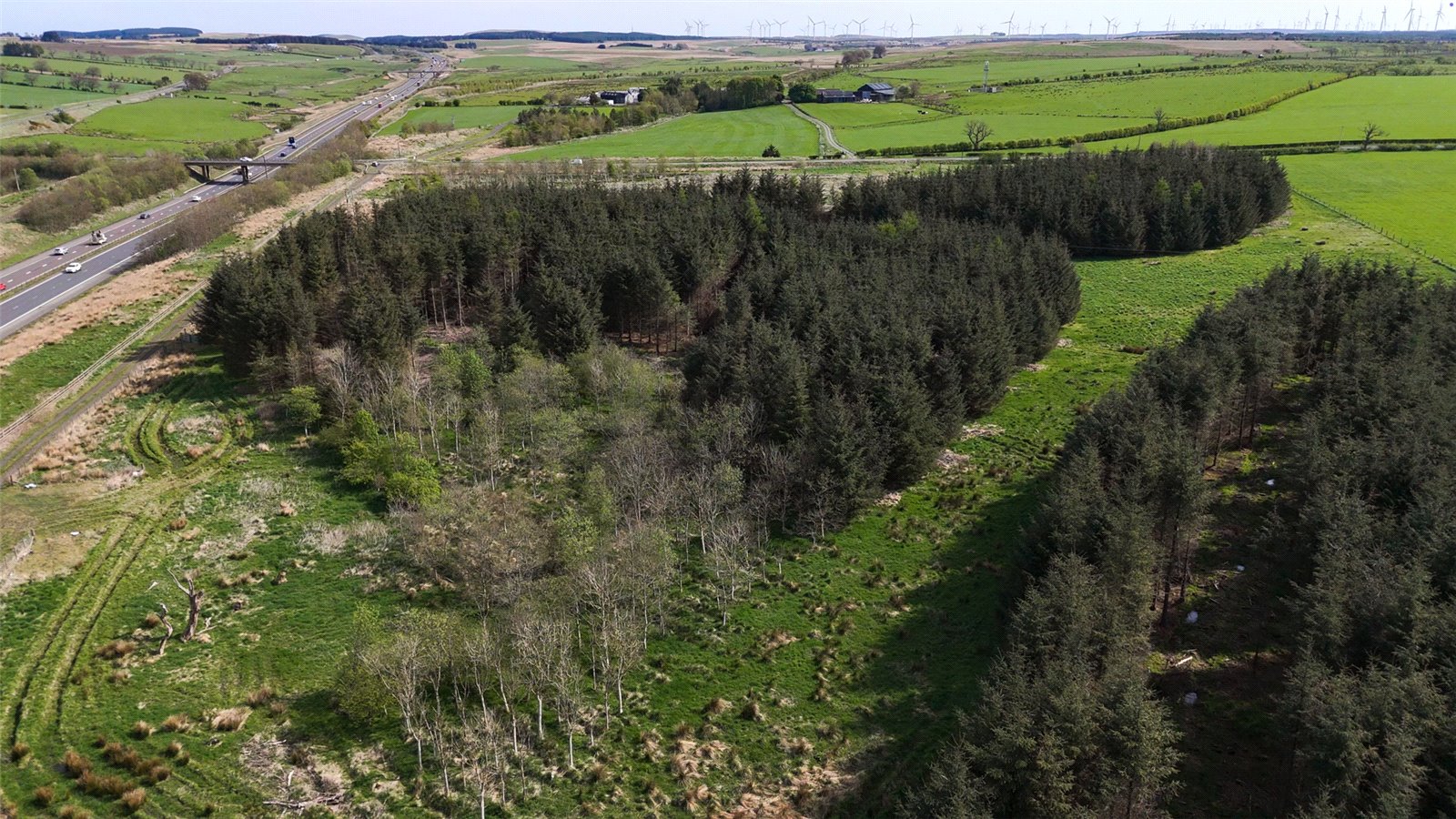 Laighmuir Woodland