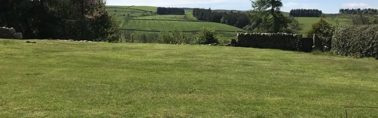 Project re-emergence: Project re-emergence