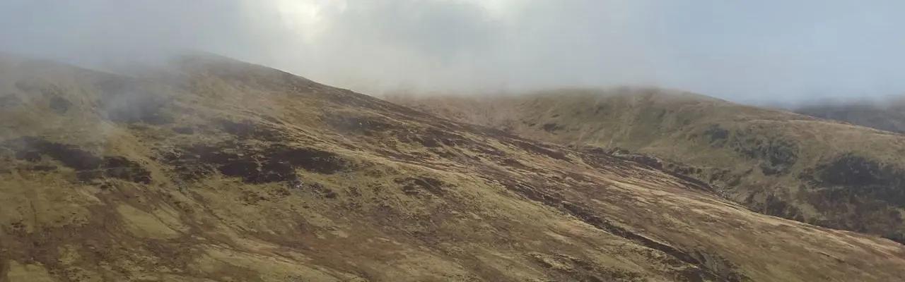 Energy Update: Development proposals for sensitive areas must address peatland : Peat Management