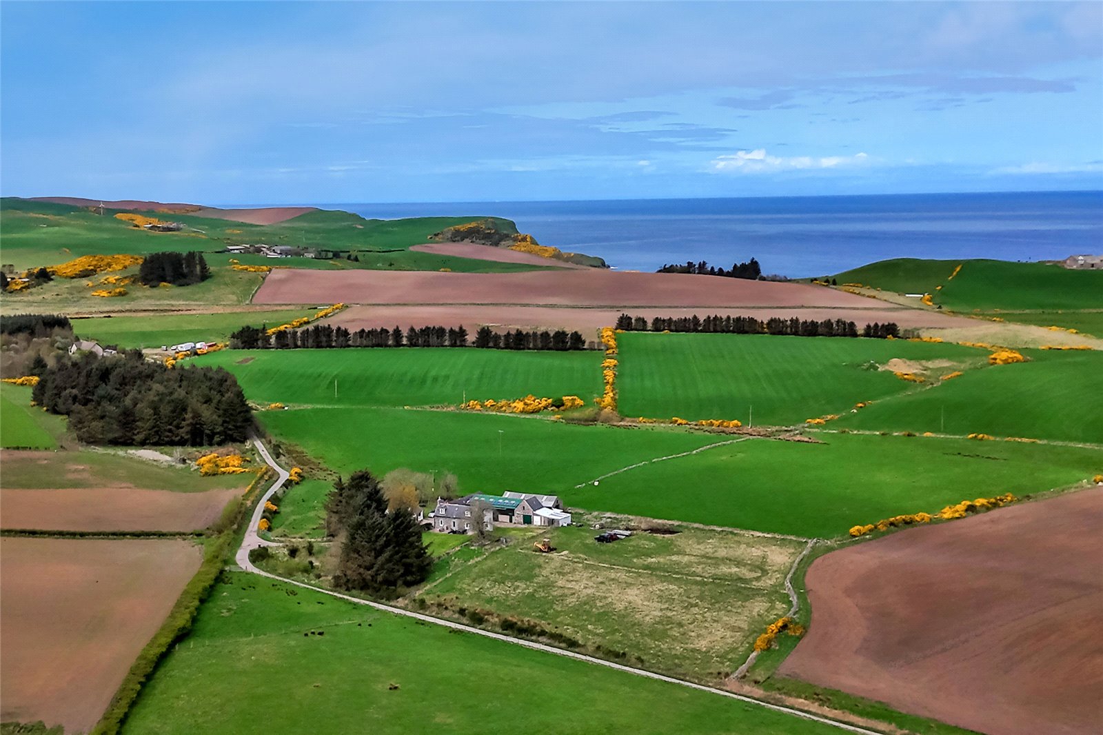 Drone Image