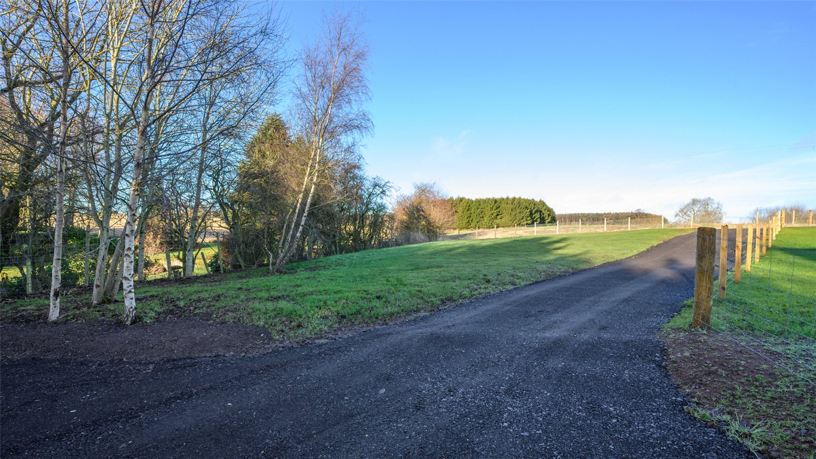 Track & Garden
