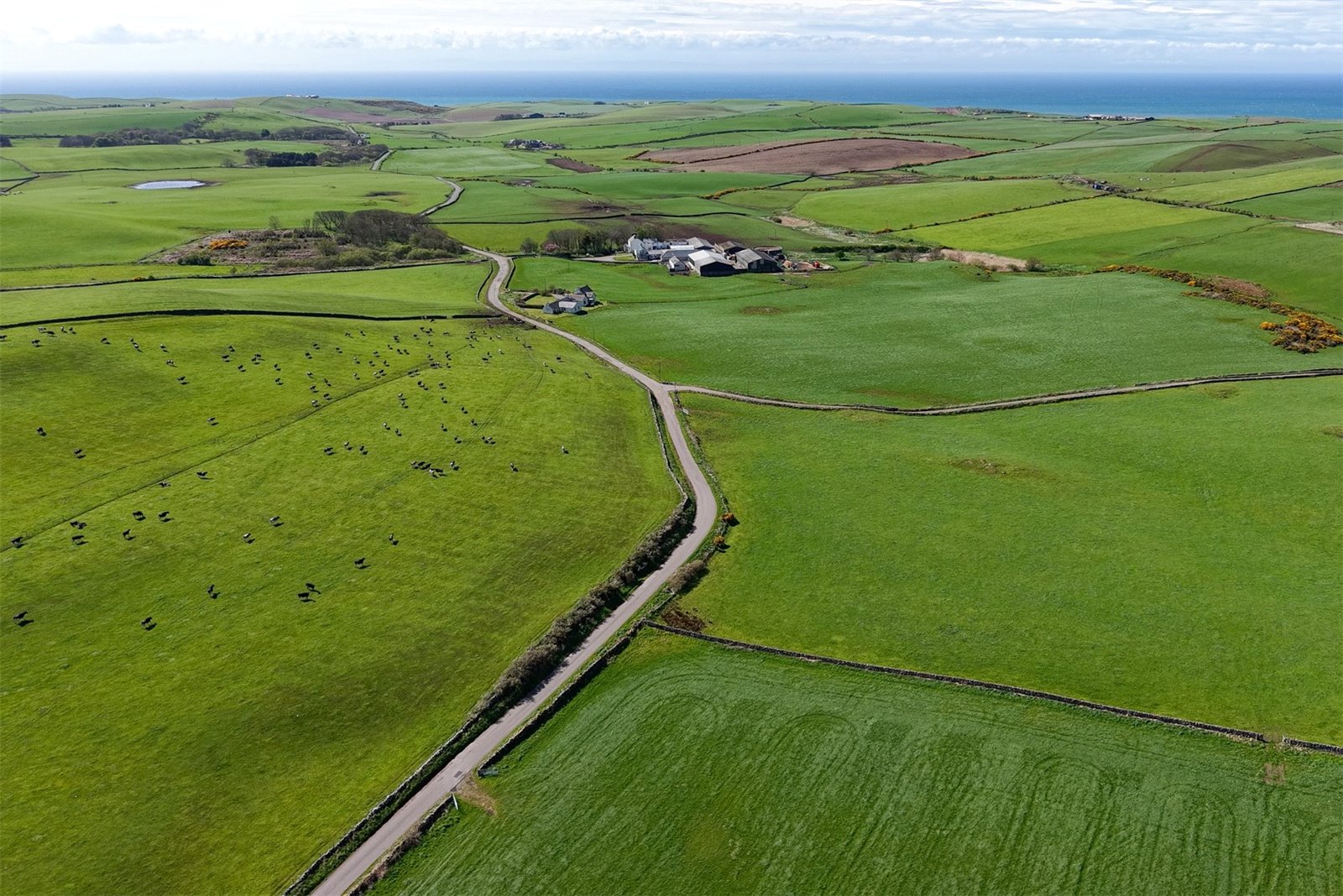 Farm View