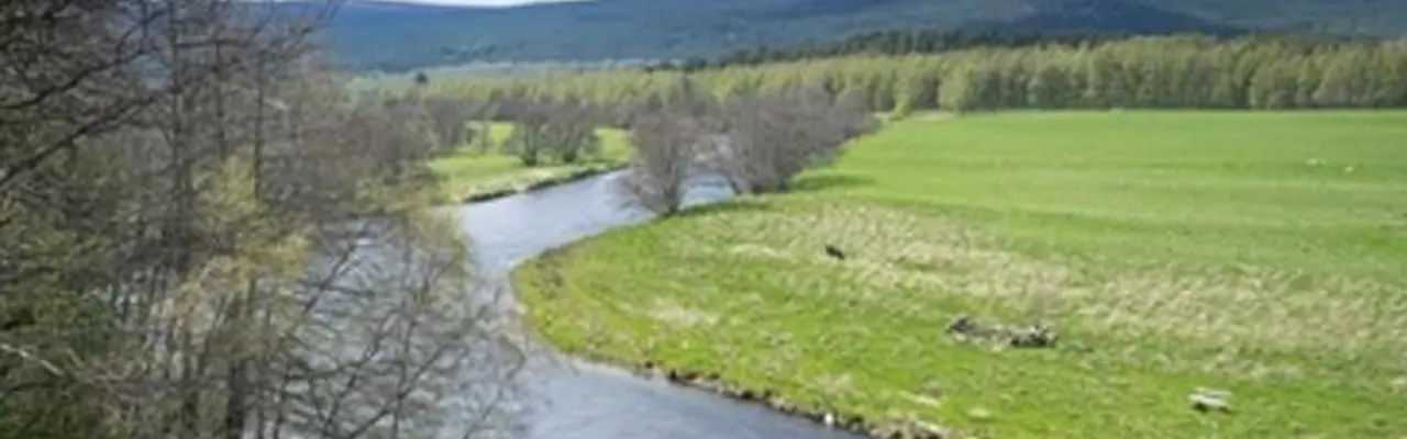 Aviemore Estate Offers Buyers Fantastic Opportunity: Pityoulish Estate Ckd Galbraith Inverness 808X455