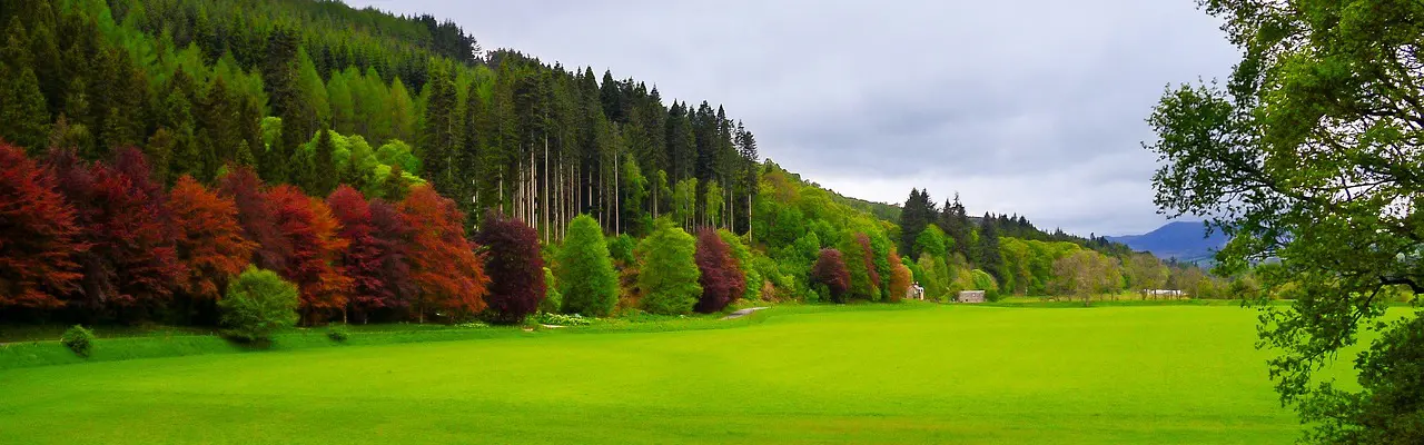 Nature – Ready Steady Go!: Farm Field Dunkeld Scotland 2691025 1280
