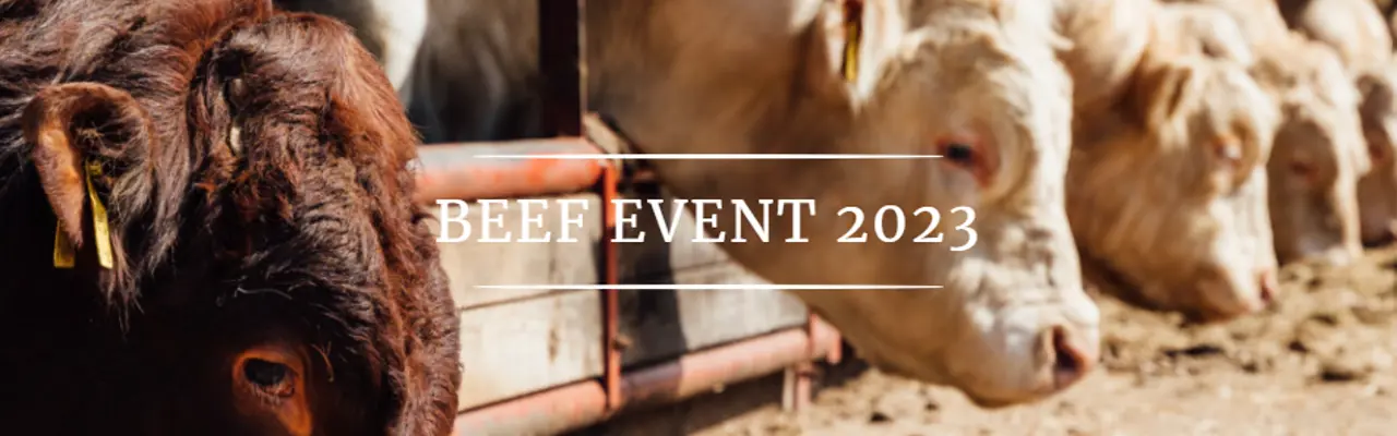Dalswinton Beef Show: Dalswinton Beef Show