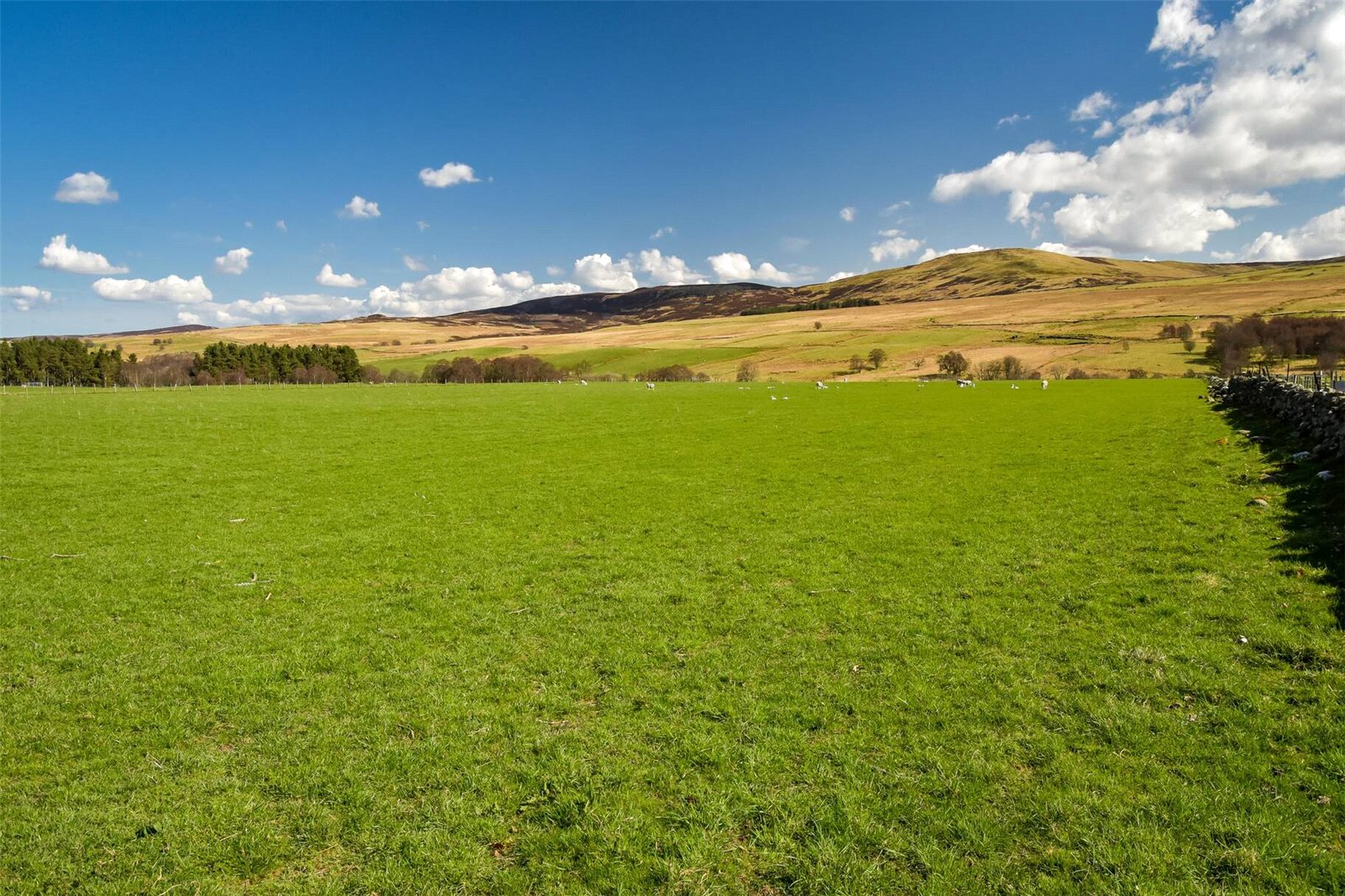 Lot 2 Land