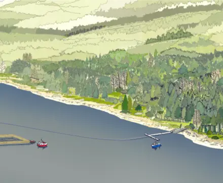 Aquaculture Consultancy