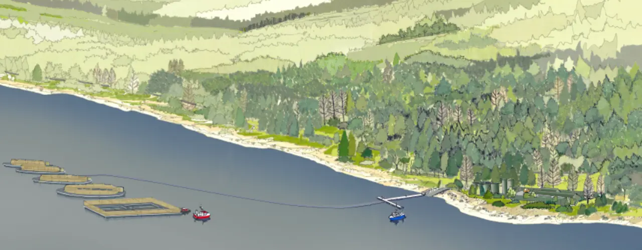 Aquaculture Consultancy