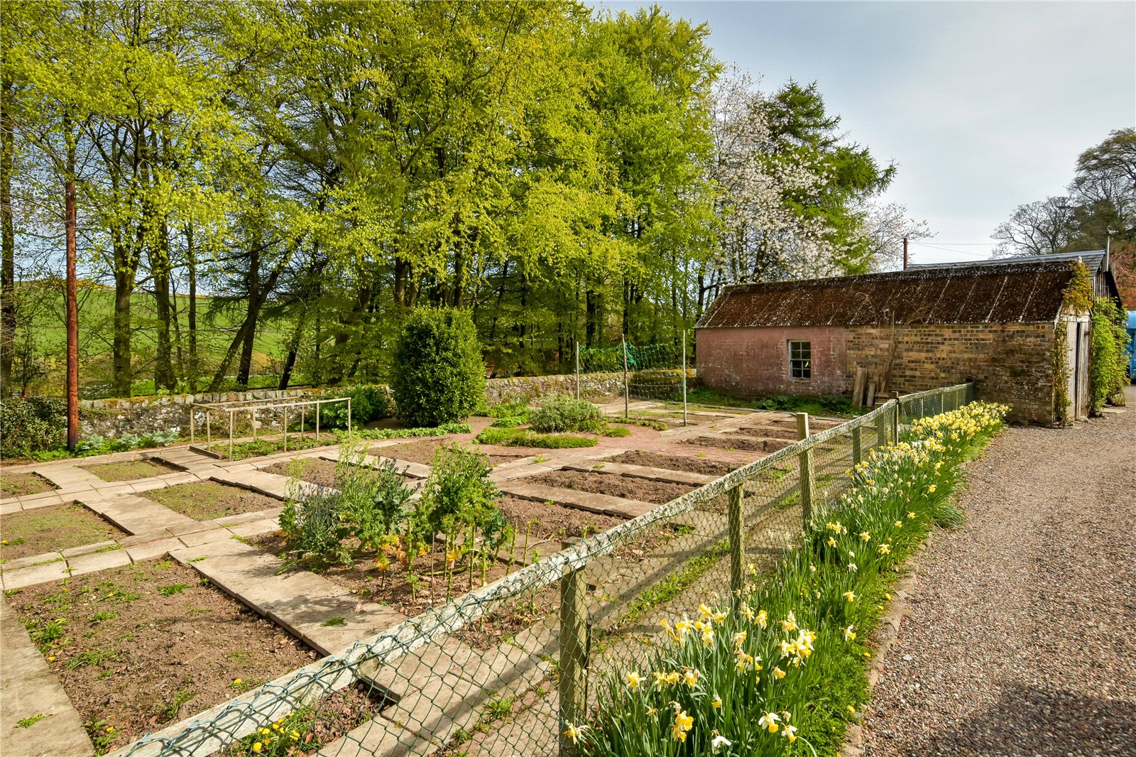 Kitchen Garden