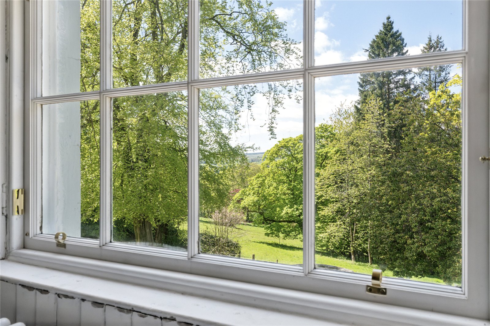 Bedroom View