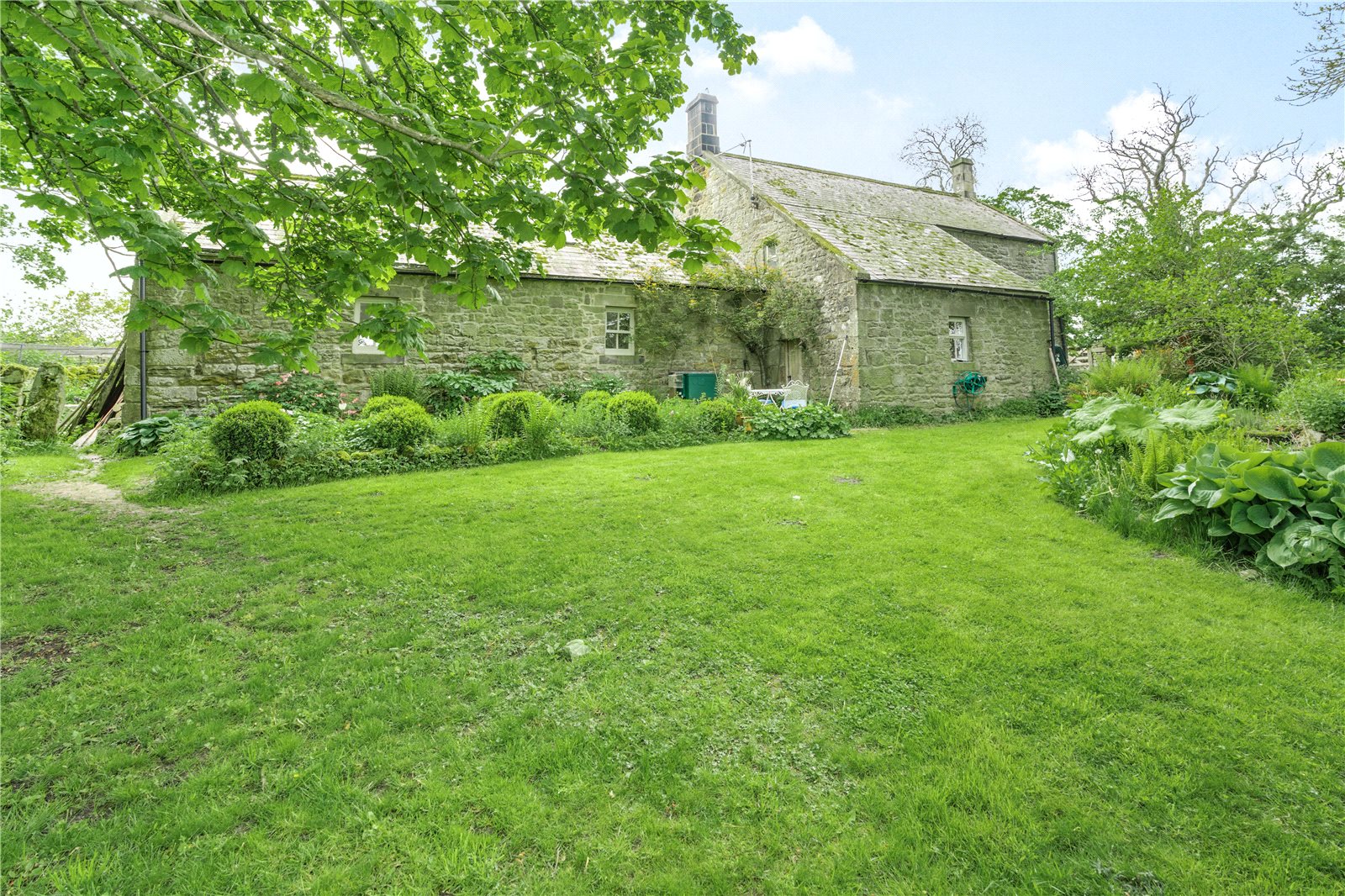 Rear Of Low Shaw