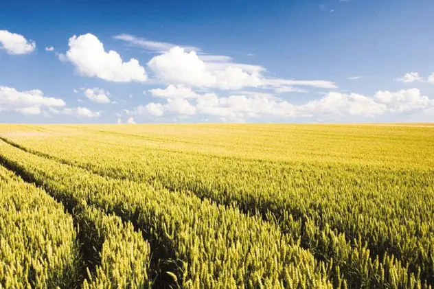 Rural Management 808X455