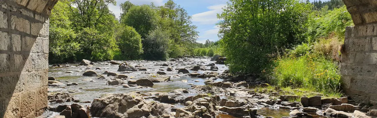 Natural capital update: Check For Leaks: Check For Leaks (1)