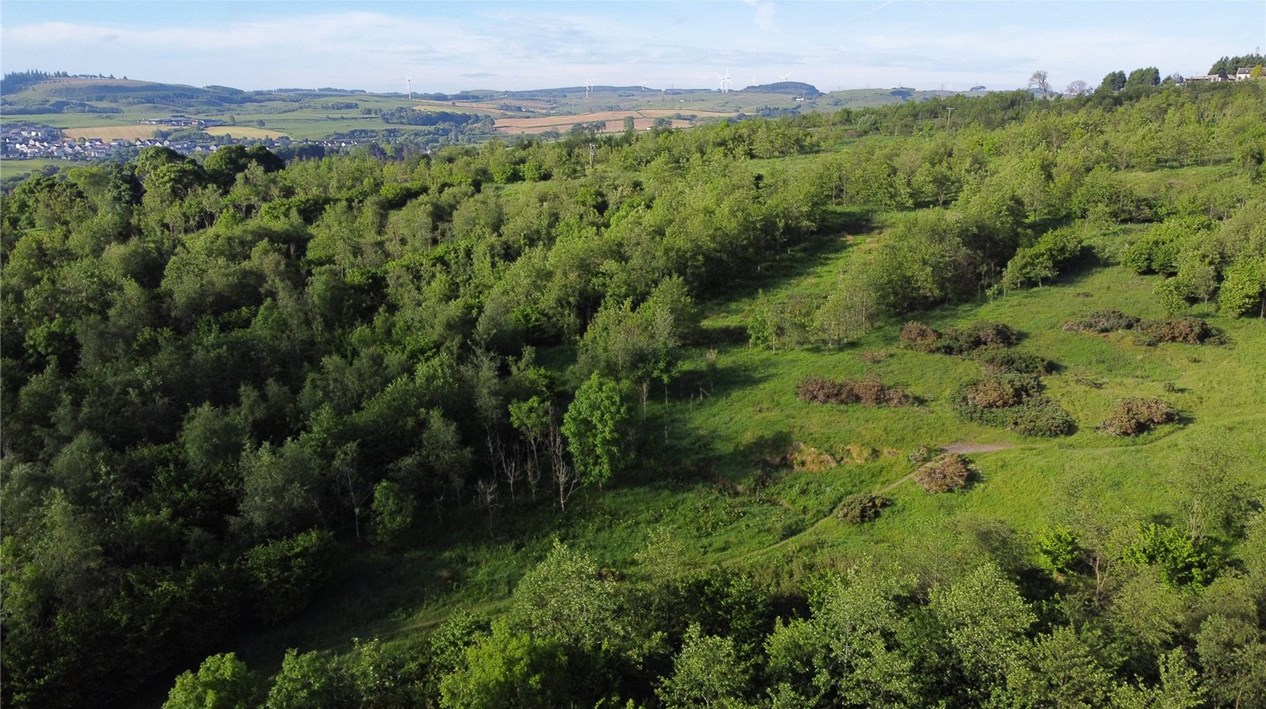 Natural Capital Update Trees