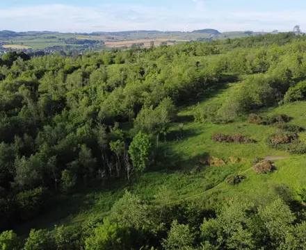 Natural capital update: Trees continue to be a vital factor in food production and land use: Str220010 05