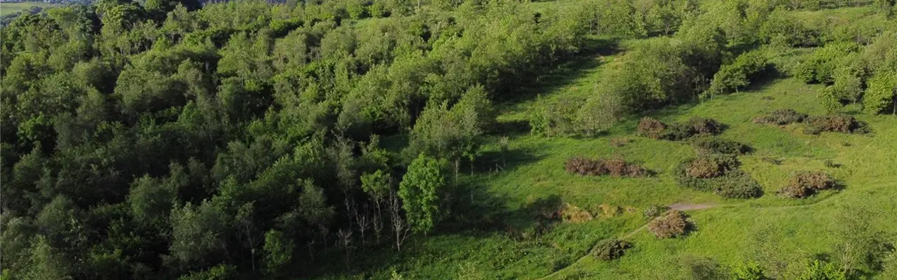 Natural capital update: Trees continue to be a vital factor in food production and land use: Str220010 05