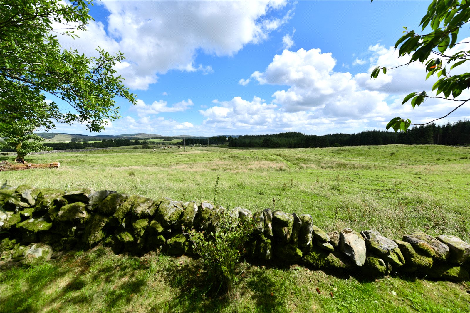 Land