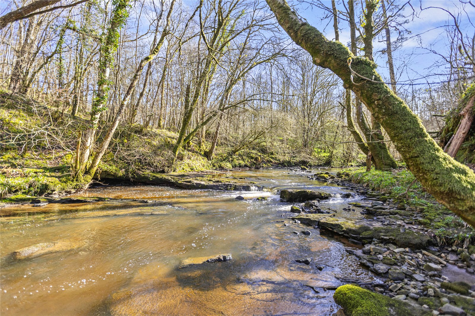 Cessnock Water