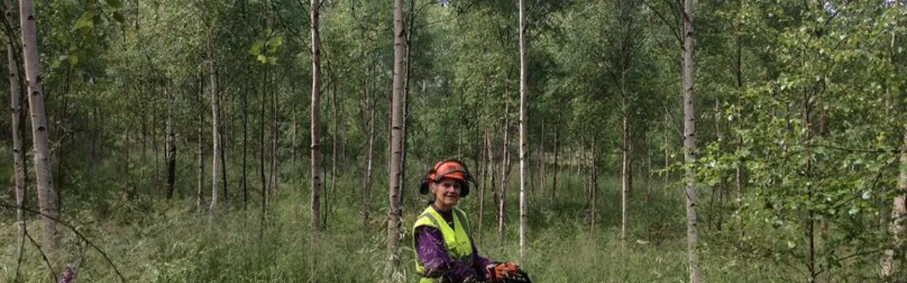 Self-taught foresters with a low-impact approach: 1588757256 Craggach2 808X455