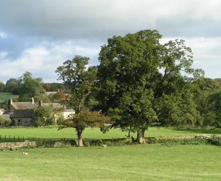 Rural update: Farmers and owners eye environmental support plan: BPS