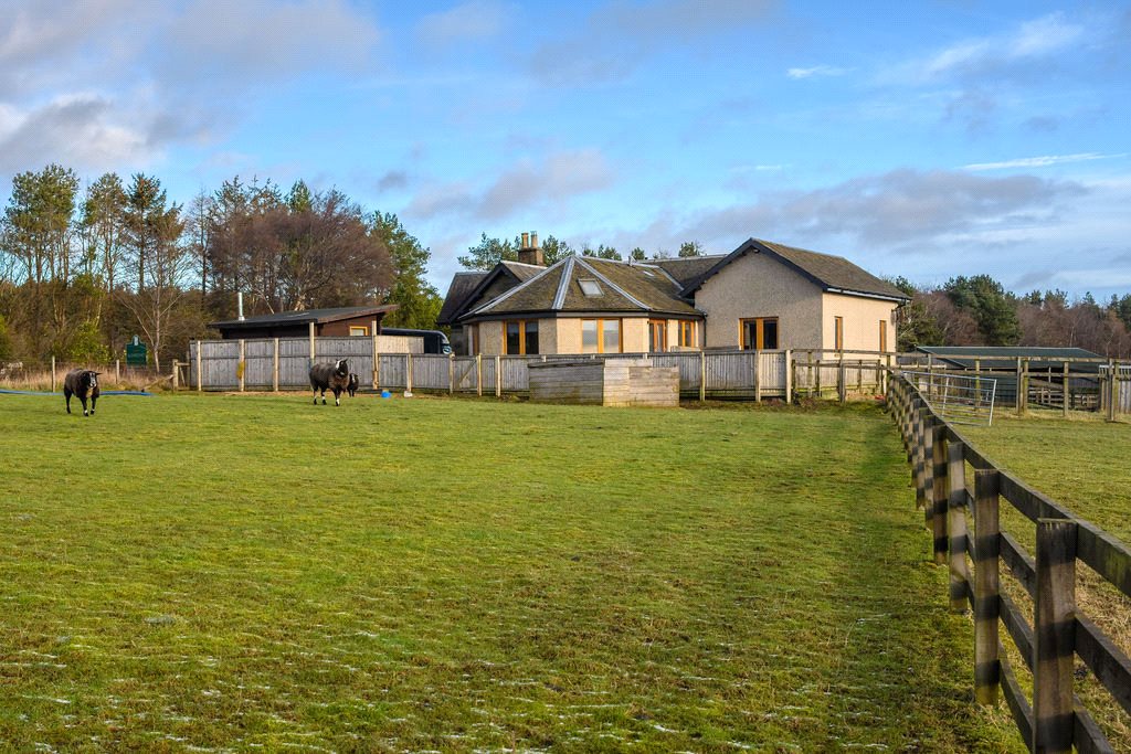 Rear Of Property