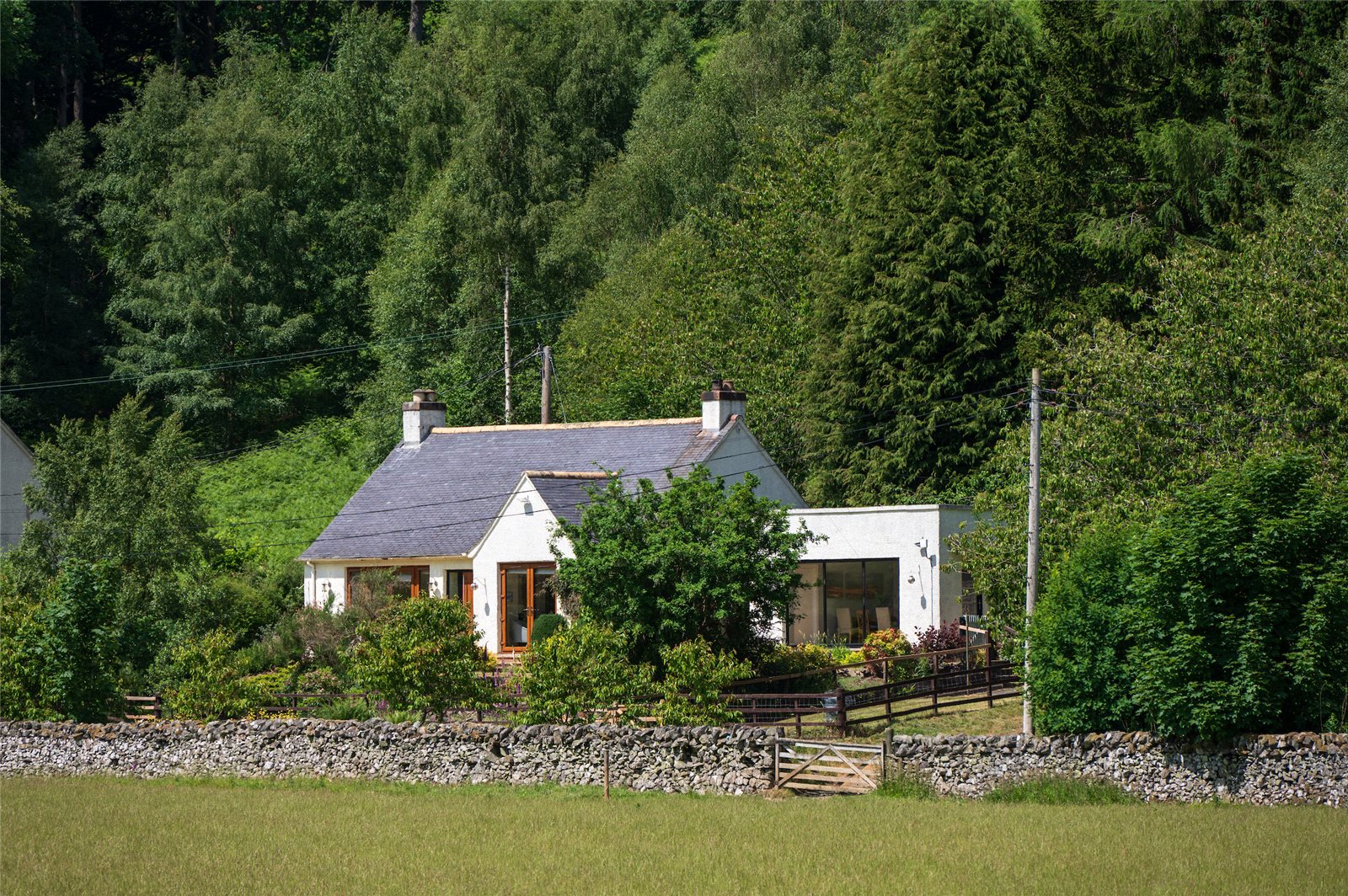 Main Photo