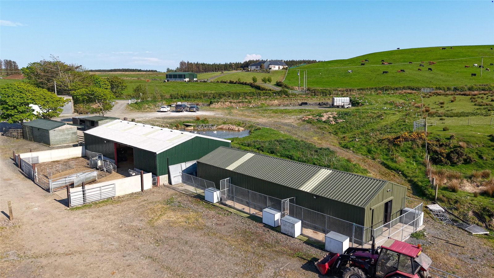 Shed and Kennels