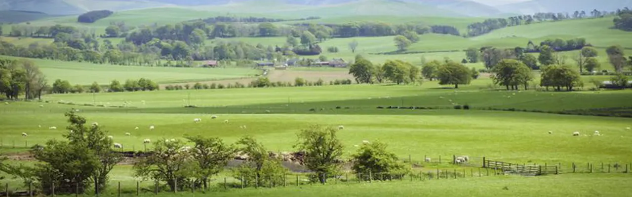 Living with land reform: 5