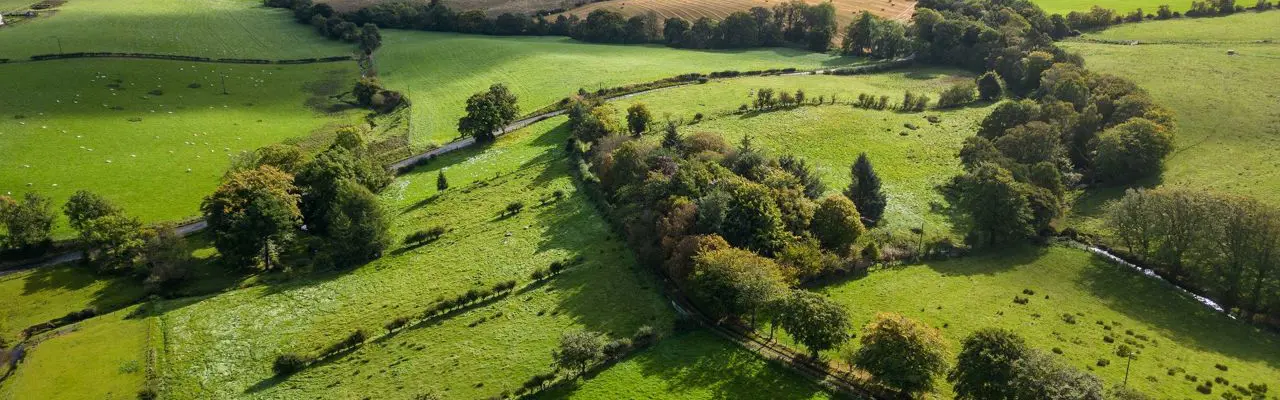 Attractive amenity farm in West Lothian for sale: Gardener's Hall & Grove Mount 5