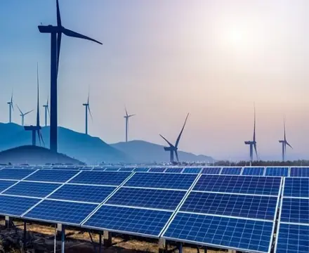 Natural Capital Update: The Rise Of Non-Credible Carbon Offsets: Nat CAP Update