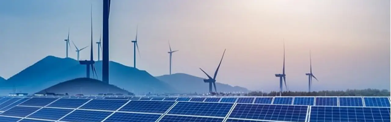 Natural Capital Update: The Rise Of Non-Credible Carbon Offsets: Nat CAP Update